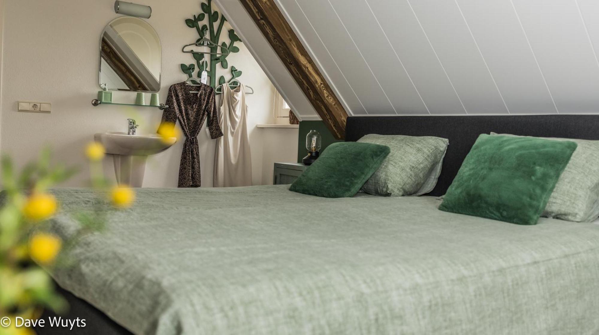 Onder De Wolfskap Bed En Ontbijt Bed and Breakfast Haaren  Buitenkant foto